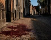 Agressieve hond valt eigenaar aan in Middelburgse Stromenwijk