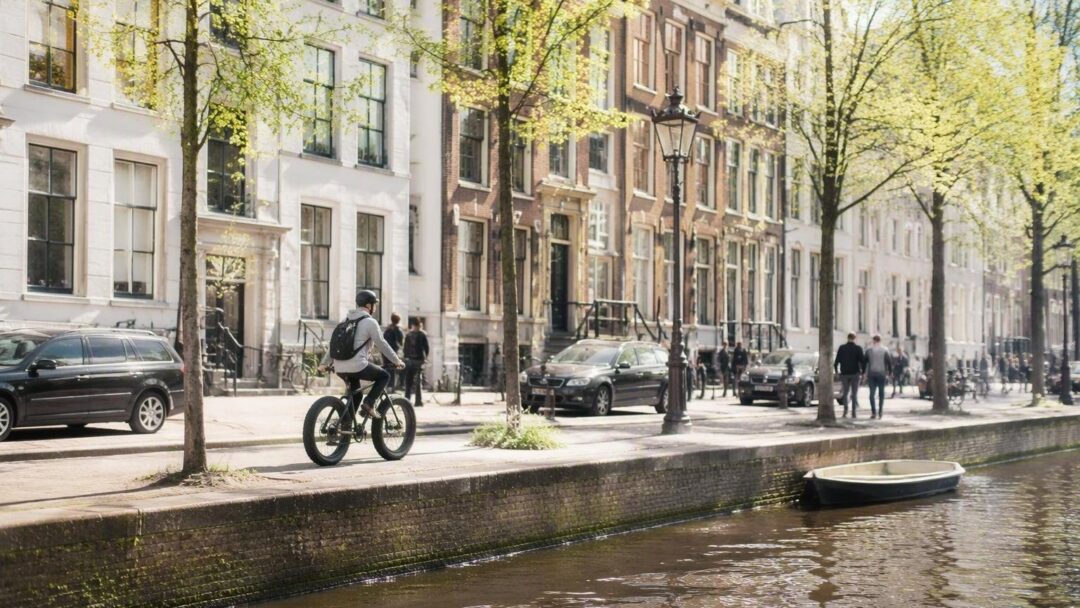 Alles over helm-plicht, leeftijd en rechts inhalen: Stallaert legt uit