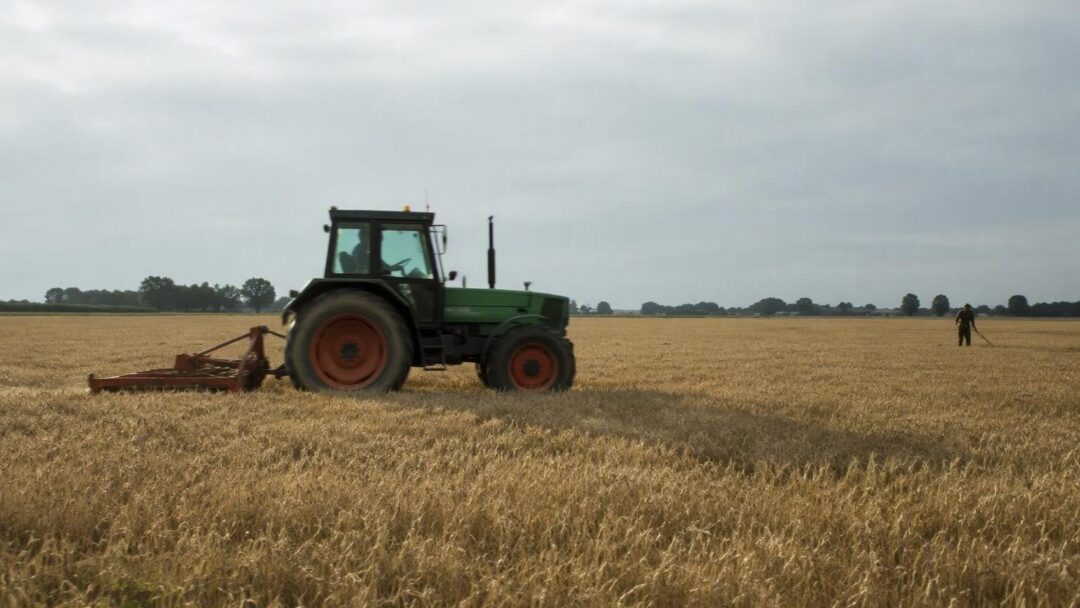 De onzichtbare gevolgen van het stikstofbeleid: Boeren worstelen met ecologische rouw