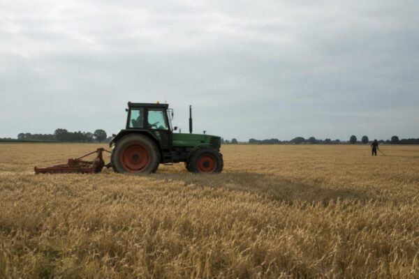De onzichtbare gevolgen van het stikstofbeleid: Boeren worstelen met ecologische rouw