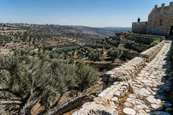 Diplomaten onder vuur van Israëlische kolonisten bij olijfoogst