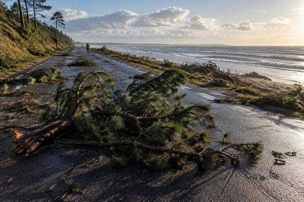 Storm Austen veroorzaakt omgewaaide bomen en waarschuwt voor harde wind