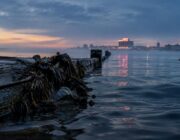 Waarom het 30×30-doel voor oceanen nog ver weg is