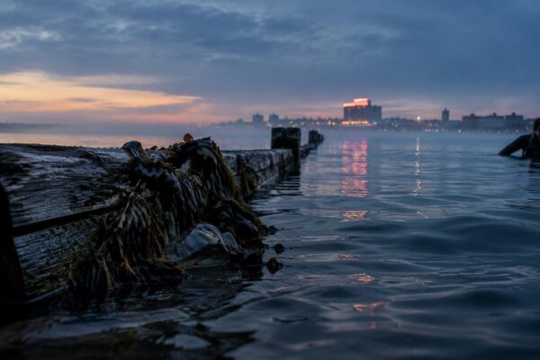 Waarom het 30×30-doel voor oceanen nog ver weg is