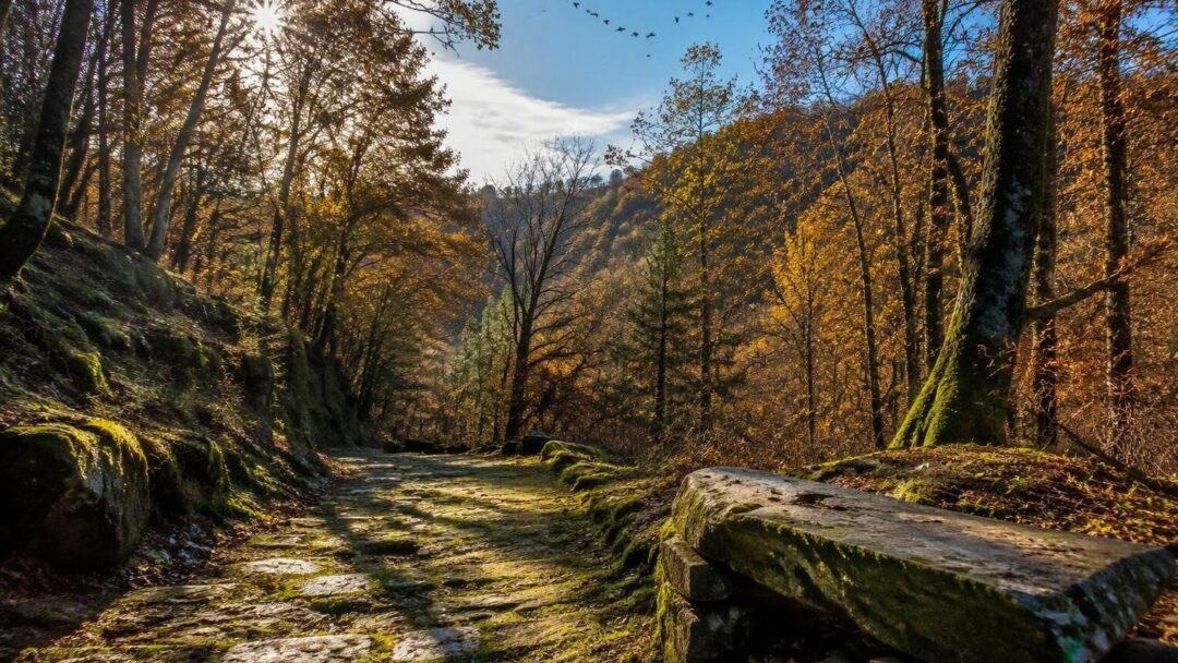 Scopri l'oasi di Arnovecchio: migrazioni e biodiversità in autunno