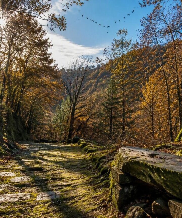 Scopri l'oasi di Arnovecchio: migrazioni e biodiversità in autunno