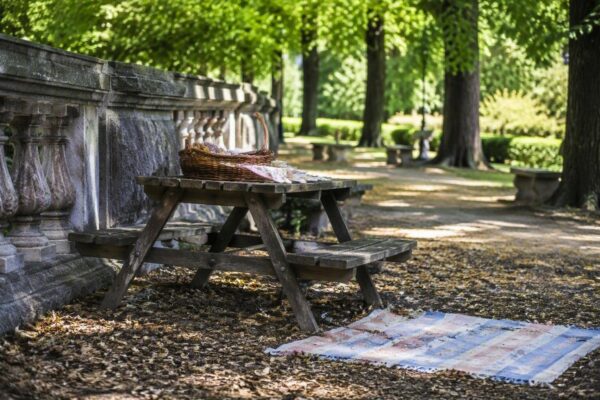 Uscite di mezza giornata con i nipoti: low cost e facili