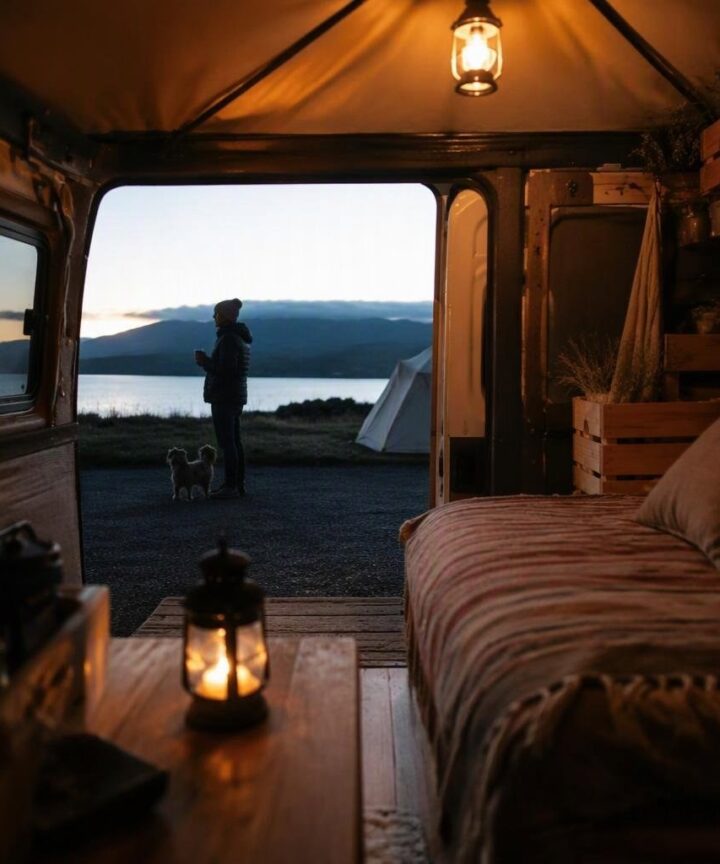 Pet-friendly: consigli per vacanze estive, autunnali e glamping