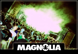 magnolia magnolia 300x209