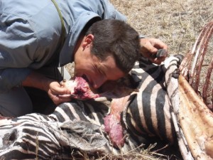 bear-g-13 bear g 13 300x225