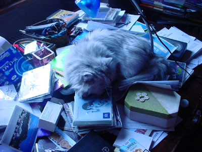 scrivania incasinata con gatto