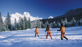 cortinaciaspesciaspes1