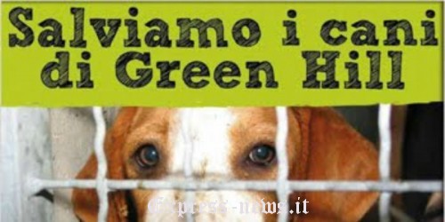 green-Hill-500x250