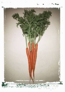 article-new_ehow_images_a04_rj_21_carrot-allergy-symptoms-800x800