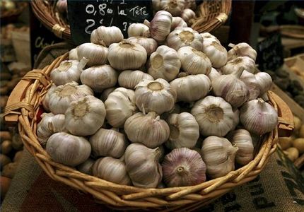 article-new_ehow_images_a04_ro_i5_symptoms-garlic-allergy-800x800