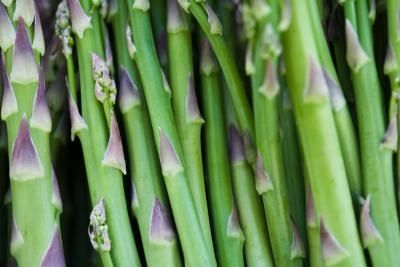 article-new_ehow_images_a07_b8_7e_deep-plant-asparagus-800x800