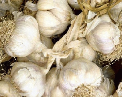 20120628-130418.jpg