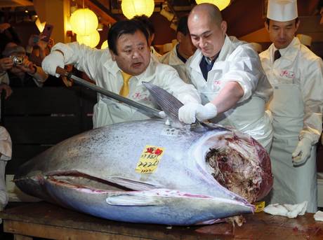 Sells record of tsuna in year's first auction