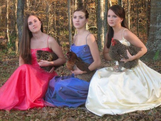 640x480xprom_photos_in_true_redneck_style_640_02.jpg.pagespeed.ic.J-LEPPNMo1