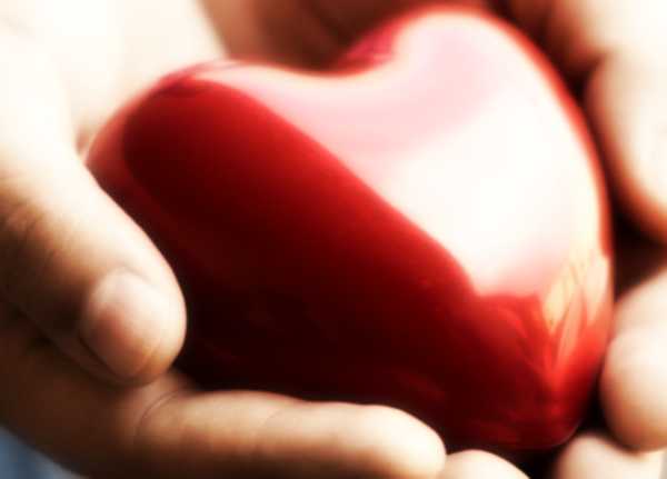 Salute ecco come abbassare il colesterolo con l'alimentazione