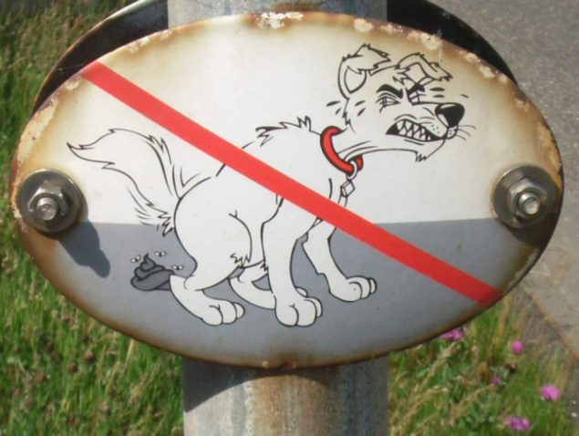 Come preparare un repellente naturale per cani
