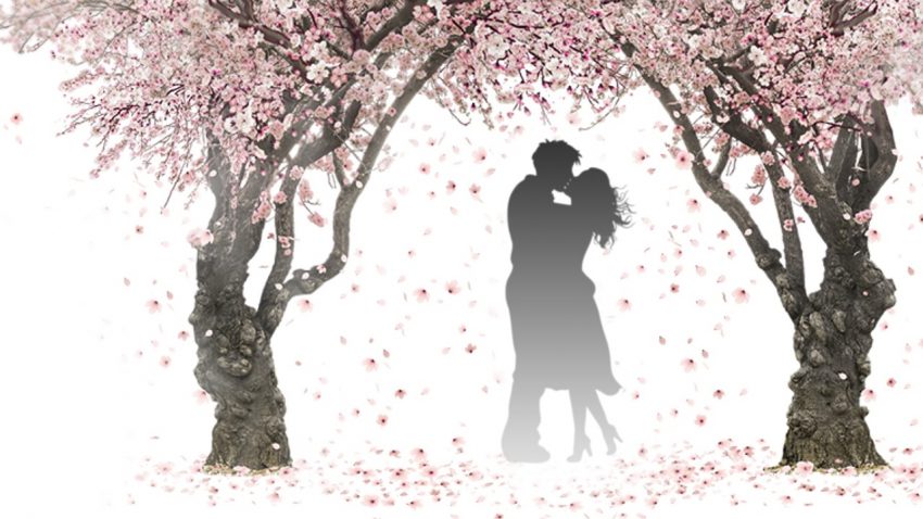Qual è il segno del vero amore? Sognare il ragazzo che ci piace