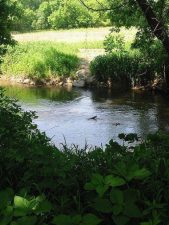 Qui vissero gli Ingalls