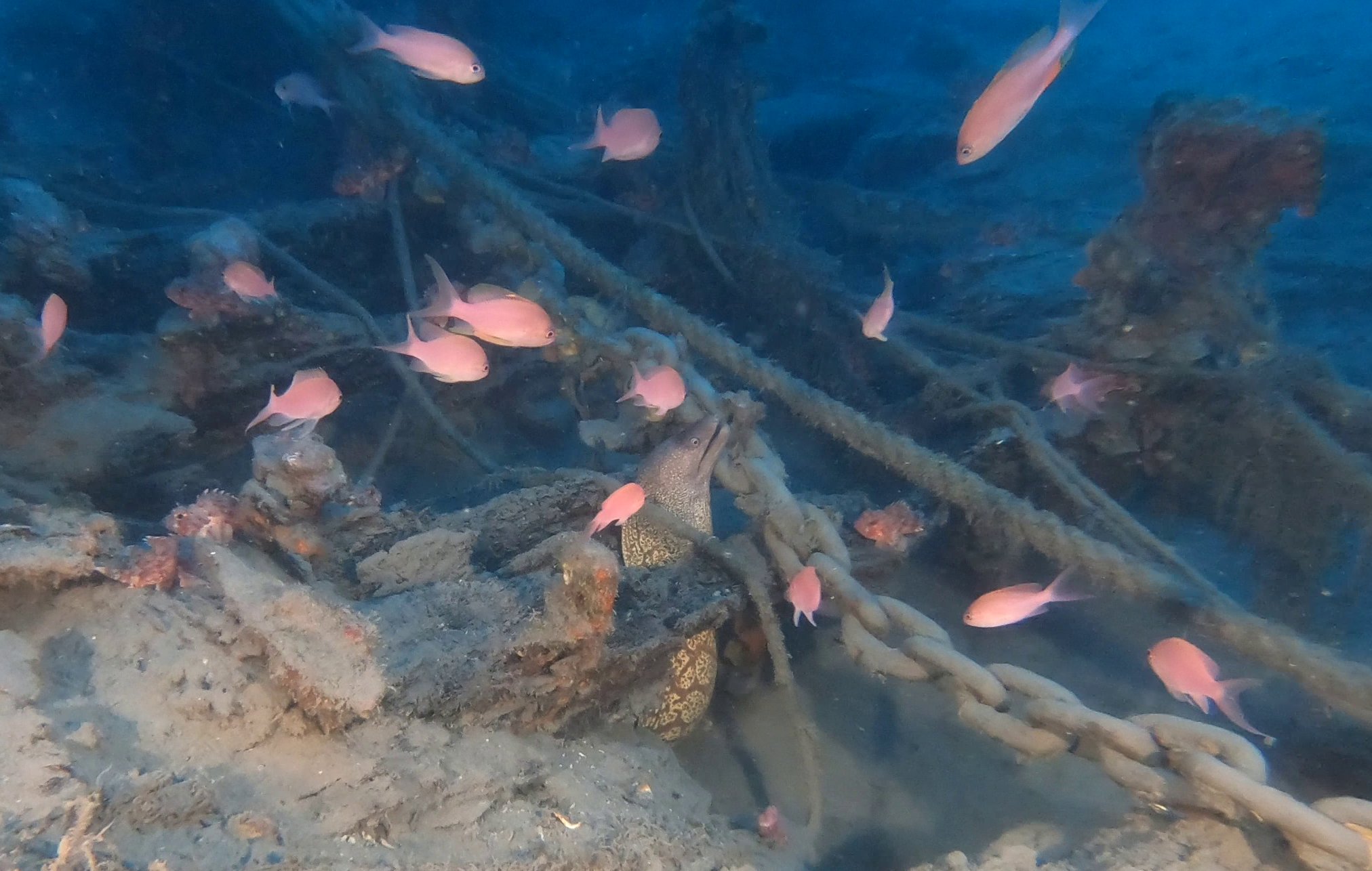 Il galeone 'Santo Spirito'