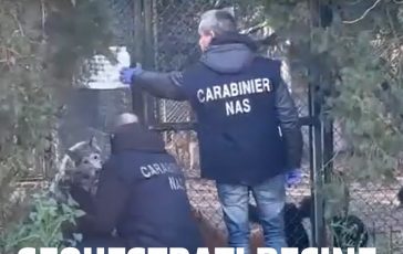 brightcove poster 1697334 364x230