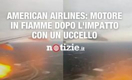 brightcove poster 1732593 265x160