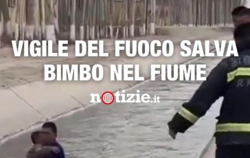 brightcove poster 1831899 364x230