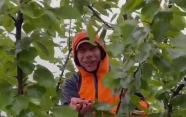 brightcove poster 1837040 364x230