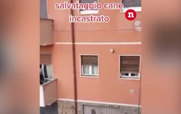 brightcove poster 1844626 364x230