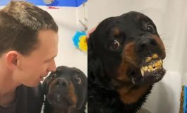 brightcove poster 1881688 265x160