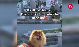 brightcove poster 1919792 265x160