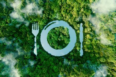 Il rapporto tra alimentazione e ambiente