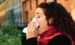 featured 1914863 265x160