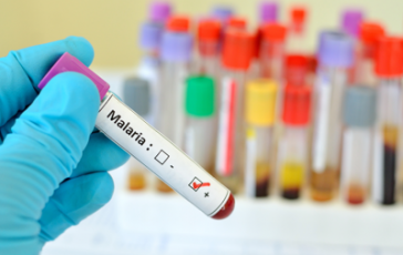 featured 1915827 364x230