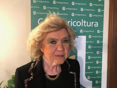 Alimenti, nutrizionista Hrelia: "Carne rossa fonte preziosa di vitamina B12"