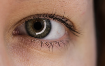 featured 1918549 364x230