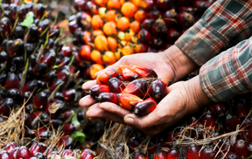 featured 1918795 364x230