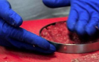 Coldiretti, c'è maggioranza qualificata in Ue su stop carne coltivata