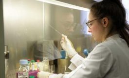 featured 1920952 265x160