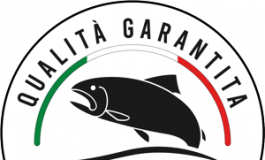 featured 1921939 265x160