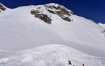 image 1e01c08b 2c1b 4556 9f7d a2692a08bb77 364x230