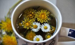 Dieta post festività: come ritornare in forma dopo il Natale