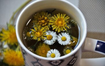 Dieta post festività: come ritornare in forma dopo il Natale