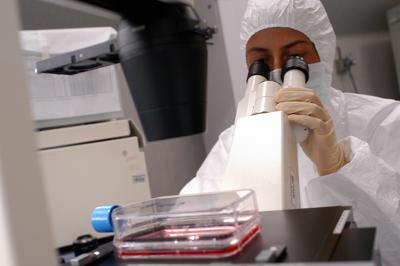 'Forbici molecolari' per curare rara immunodeficienza, primi dati positivi