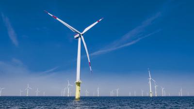 Eolico offshore: energia green a tutela dell’ambiente