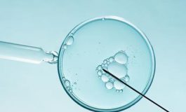 featured 1925110 265x160